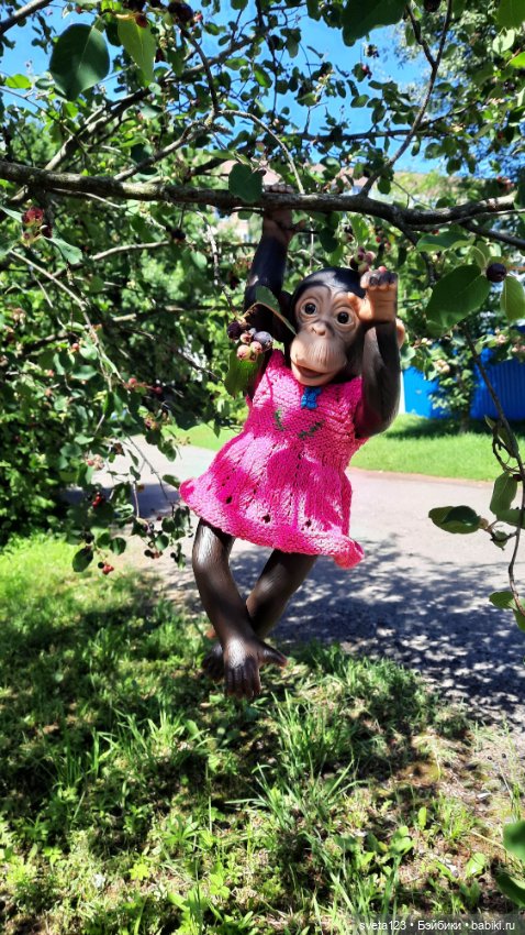 Обезьянка Луна — Куклы ASI (Аси): испанские пупсы (фото 8)