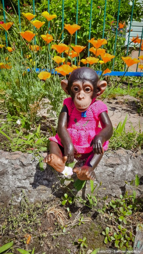 Обезьянка Луна — Куклы ASI (Аси): испанские пупсы