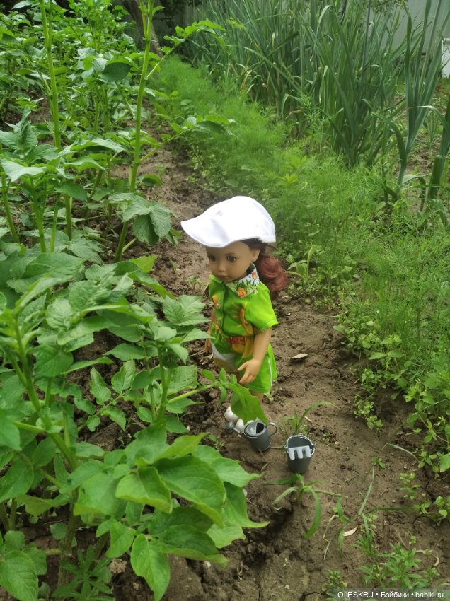 Светочка на даче, картофельные грядки (фото 2)