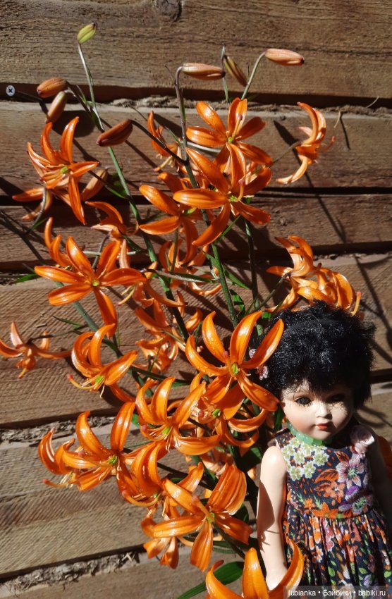 Летнее разноцветное💚💙💜🧡❤💛🤍 (фото 2)