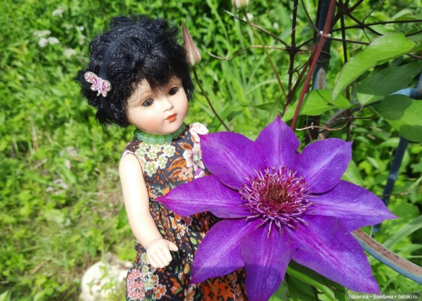 Летнее разноцветное💚💙💜🧡❤💛🤍