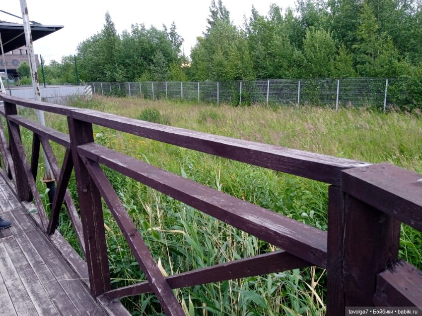 Питер в июле — Туризм и путешествия: фотоотчеты из поездок (фото 7)