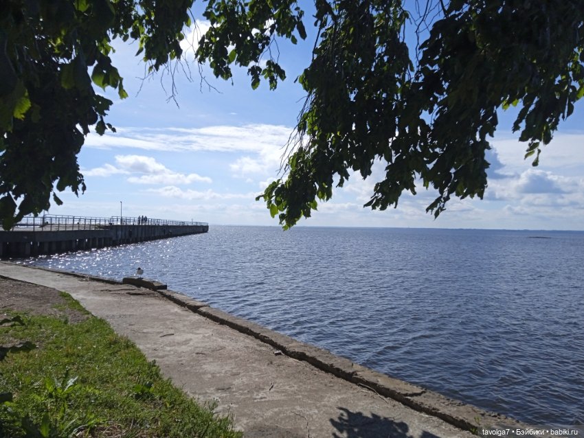 Питер в июле — Туризм и путешествия: фотоотчеты из поездок