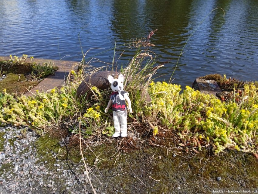 Питер в июле — Туризм и путешествия: фотоотчеты из поездок