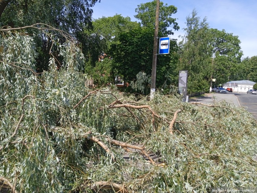 Питер в июле — Туризм и путешествия: фотоотчеты из поездок