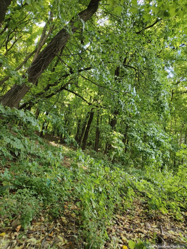 Ягода малинка.🩷☀️🍓🧚🏻‍♀️ ( Габриэль Мюллер Gabriel Muller)