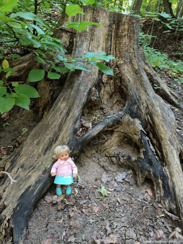 Ягода малинка.🩷☀️🍓🧚🏻‍♀️ ( Габриэль Мюллер Gabriel Muller)