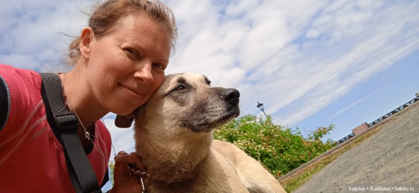 День собак 2024 — Коллекционные игрушки и фигурки: Lego