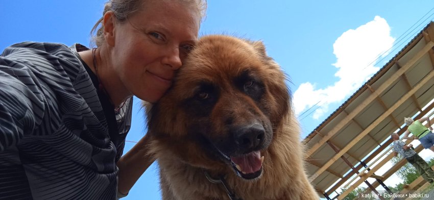 День собак 2024 — Коллекционные игрушки и фигурки: Lego