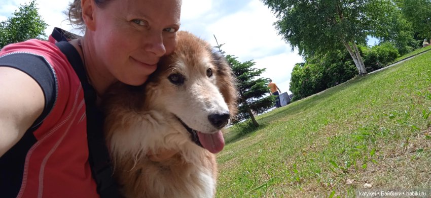 День собак 2024 — Коллекционные игрушки и фигурки: Lego