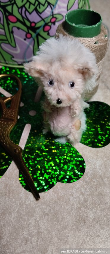 Белый ёжик — Авторские игрушки из разных материалов: синельная проволока (фото 3)