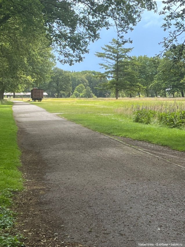 Музыкальная история 133 — Туризм и путешествия: фотоотчеты из поездок (фото 2)