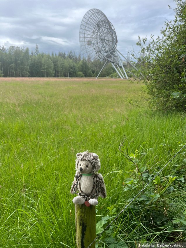 Музыкальная история 133 — Туризм и путешествия: фотоотчеты из поездок (фото 6)