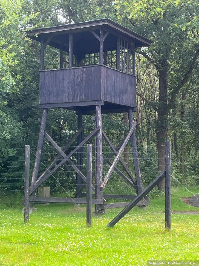 Музыкальная история 133 — Туризм и путешествия: фотоотчеты из поездок (фото 4)