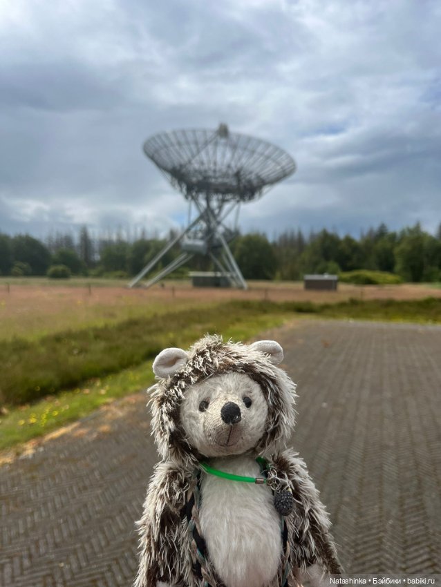 Музыкальная история 133 — Туризм и путешествия: фотоотчеты из поездок (фото 5)