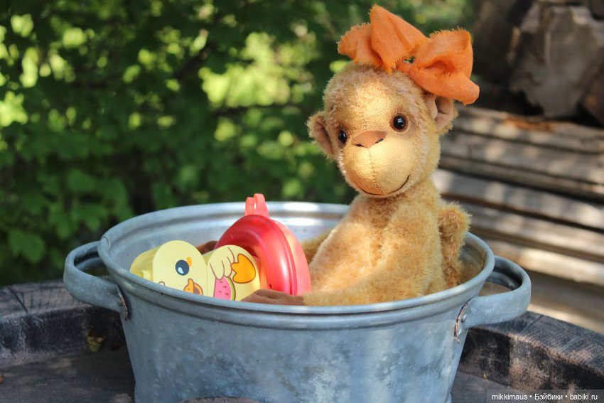 Кто тут у нас в такую жару (фото 3)