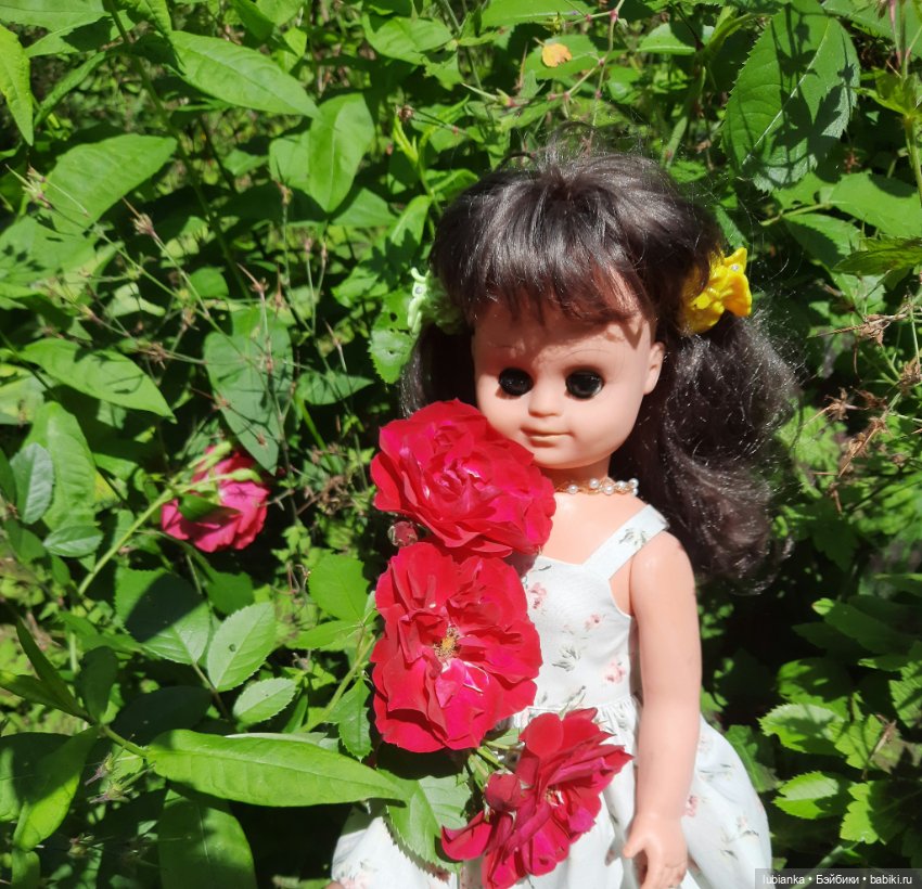 Камелия гуляет по саду — Винтажные куклы ГДР (Немки): Бигги