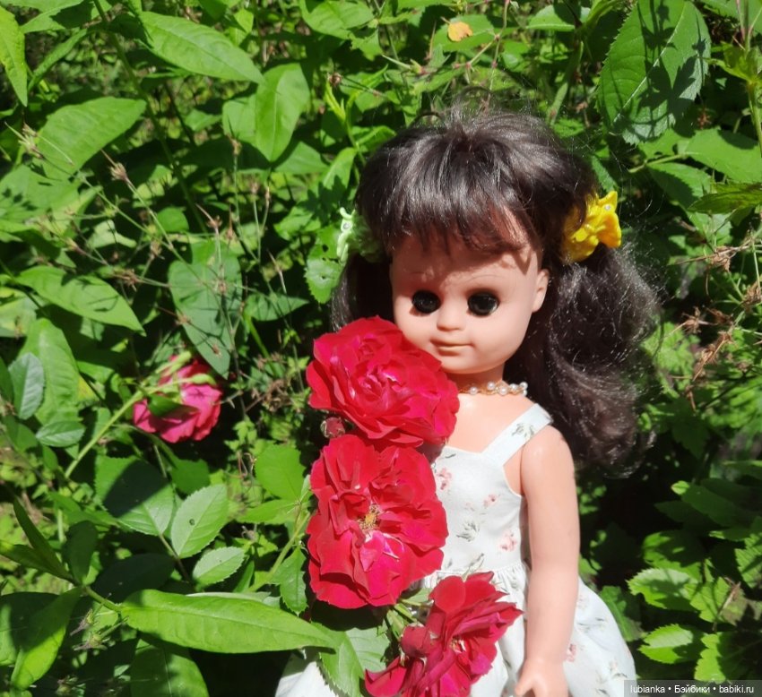 Камелия гуляет по саду — Винтажные куклы ГДР (Немки): Бигги