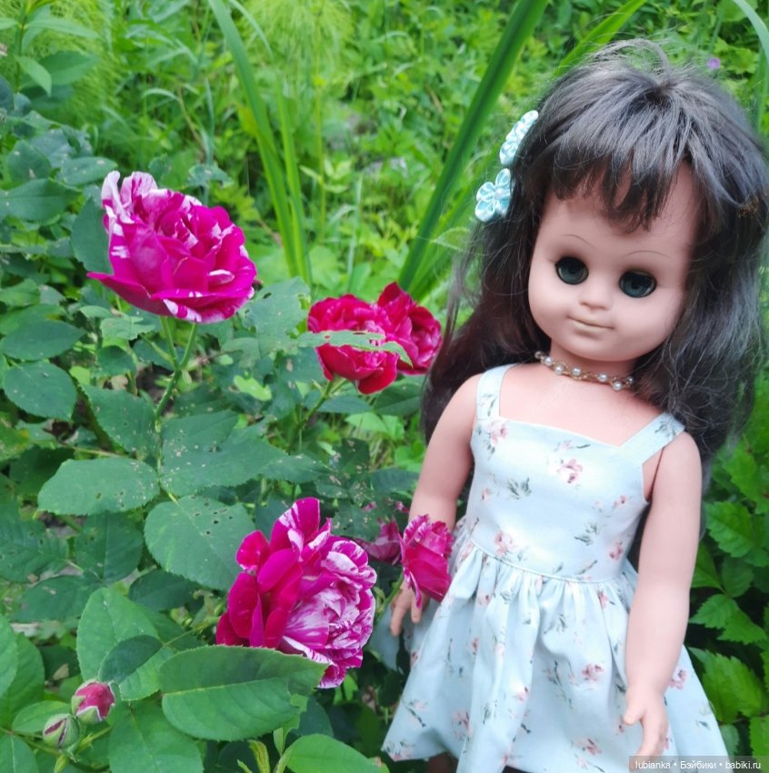 Камелия гуляет по саду — Винтажные куклы ГДР (Немки): Бигги (фото 8)