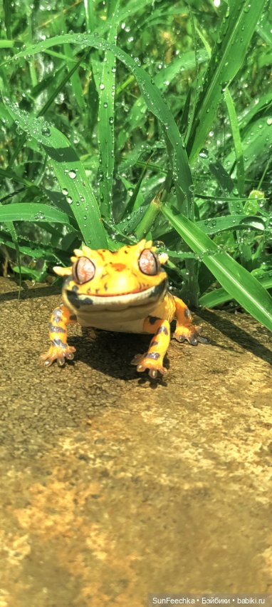 Гошка в отпуске с нами — Разные шарнирные куклы (не БЖД): редкие (фото 9)