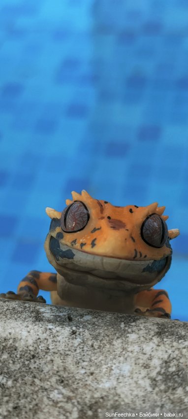 Гошка в отпуске с нами — Разные шарнирные куклы (не БЖД): редкие