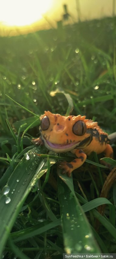 Гошка в отпуске с нами — Разные шарнирные куклы (не БЖД): редкие