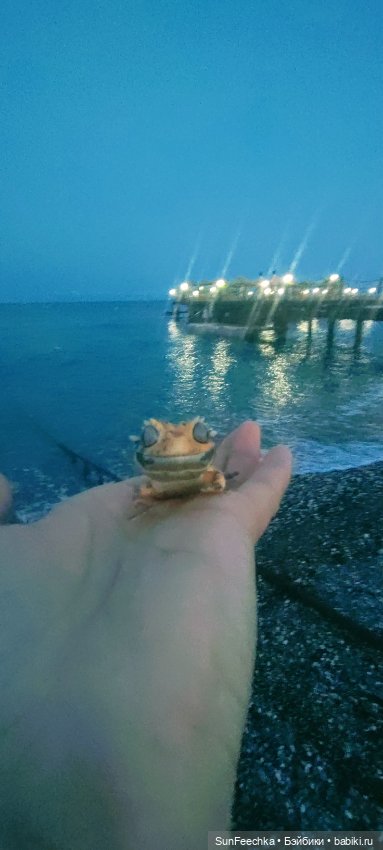 Гошка в отпуске с нами — Разные шарнирные куклы (не БЖД): редкие (фото 2)