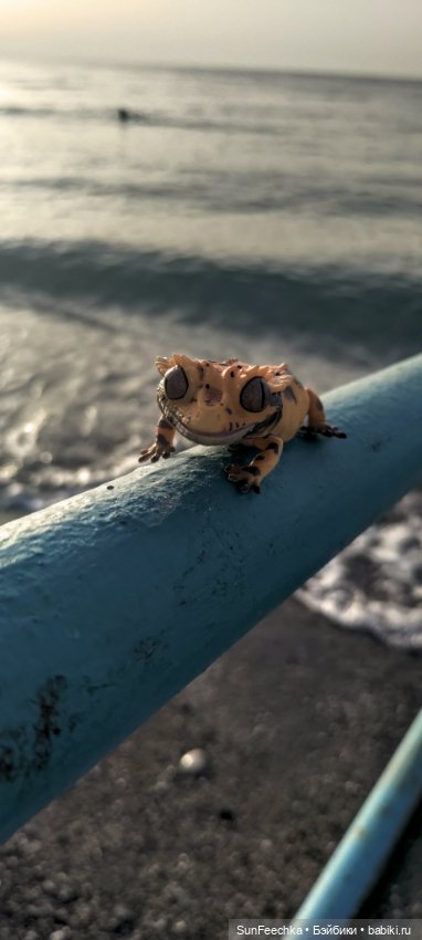 Гошка в отпуске с нами — Разные шарнирные куклы (не БЖД): редкие