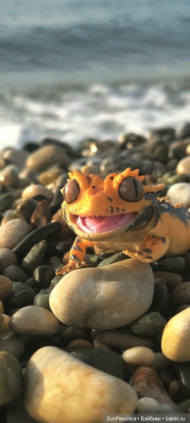 Гошка в отпуске с нами — Разные шарнирные куклы (не БЖД): редкие