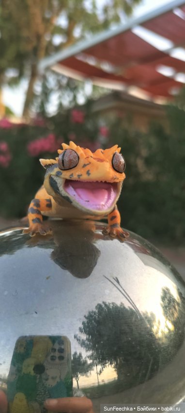 Гошка в отпуске с нами — Разные шарнирные куклы (не БЖД): редкие (фото 10)