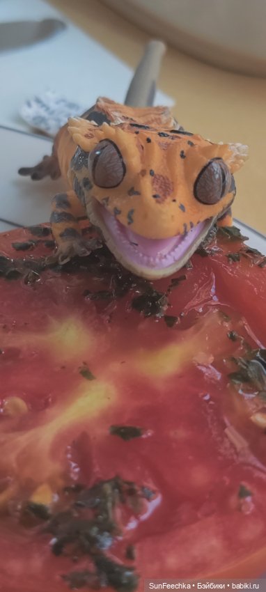 Гошка в отпуске с нами — Разные шарнирные куклы (не БЖД): редкие