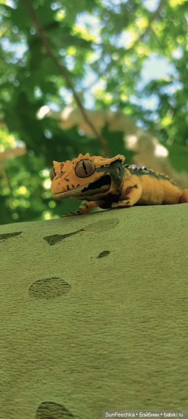 Гошка в отпуске с нами — Разные шарнирные куклы (не БЖД): редкие