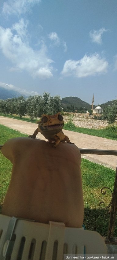 Гошка в отпуске с нами — Разные шарнирные куклы (не БЖД): редкие (фото 6)