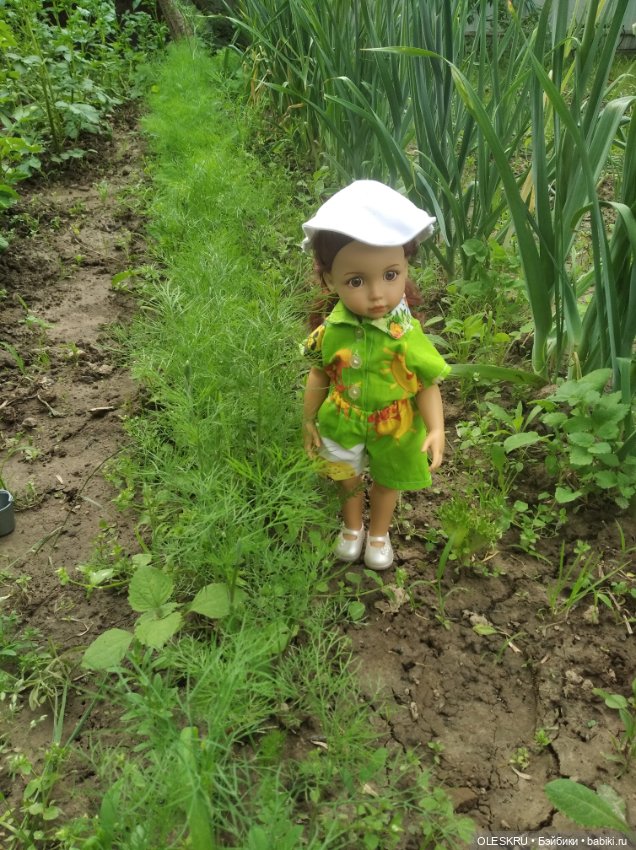 На даче , вот такой укропчик вырос