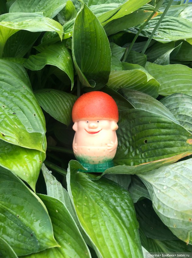 Грибы пошли — Игрушки СССР и советского детства: резиновые