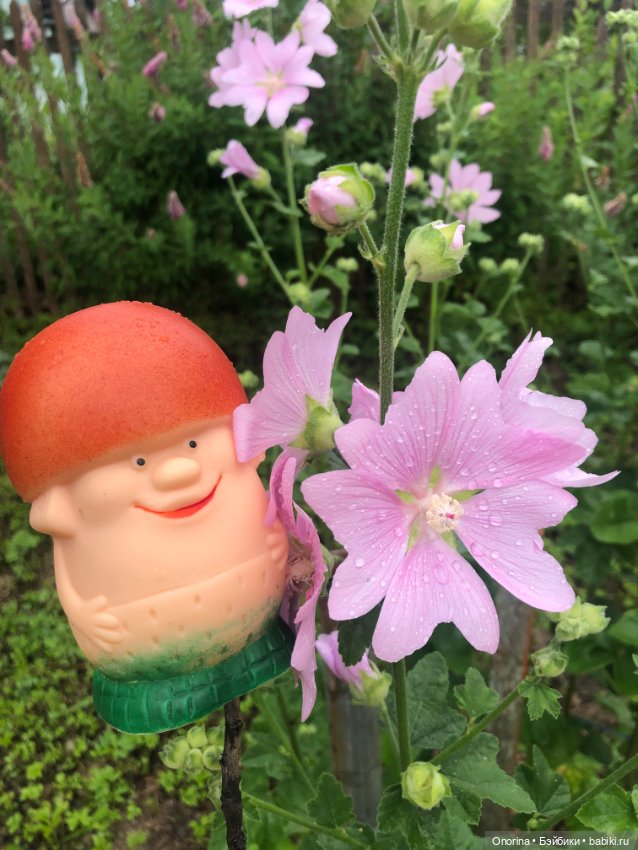 Грибы пошли — Игрушки СССР и советского детства: резиновые (фото 2)