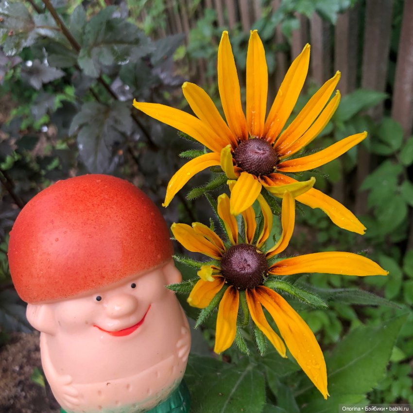 Грибы пошли — Игрушки СССР и советского детства: резиновые