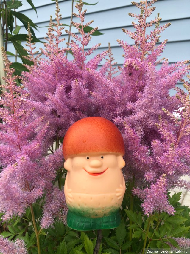 Грибы пошли — Игрушки СССР и советского детства: резиновые (фото 10)