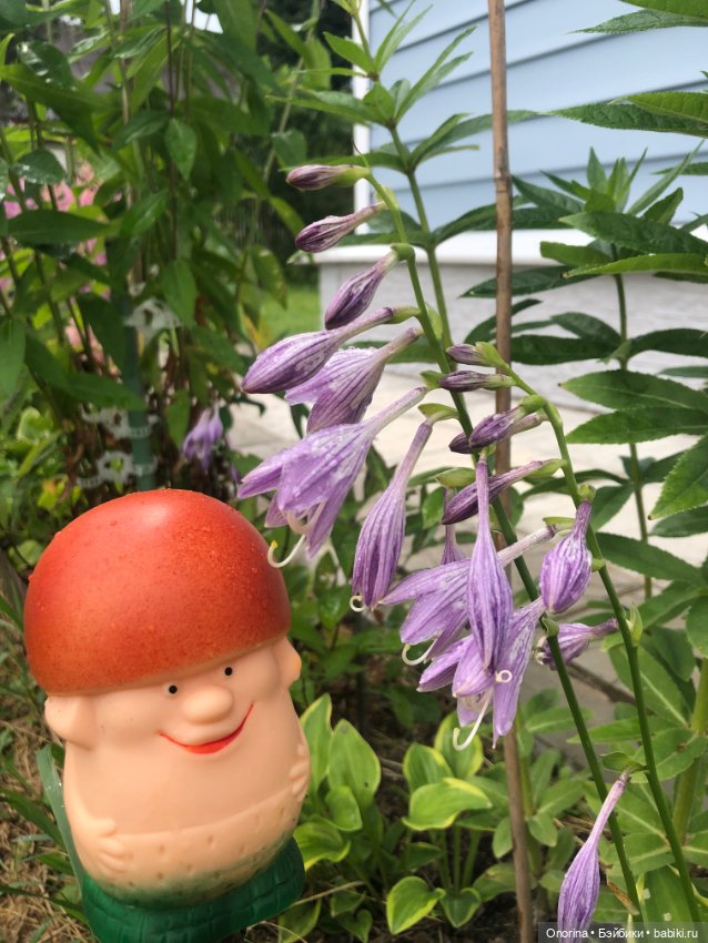 Грибы пошли — Игрушки СССР и советского детства: резиновые