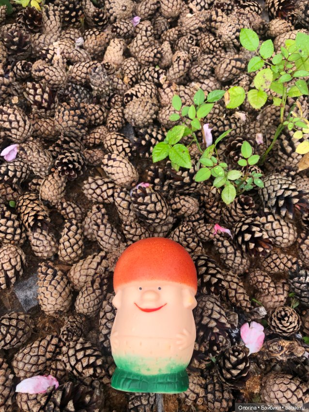 Грибы пошли — Игрушки СССР и советского детства: резиновые (фото 4)