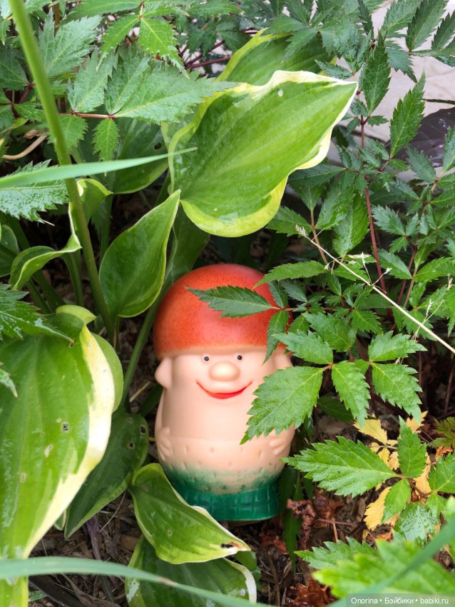 Грибы пошли — Игрушки СССР и советского детства: резиновые