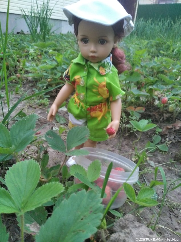 Лето на даче поспели ягодки, пошла по ягодки (фото 2)