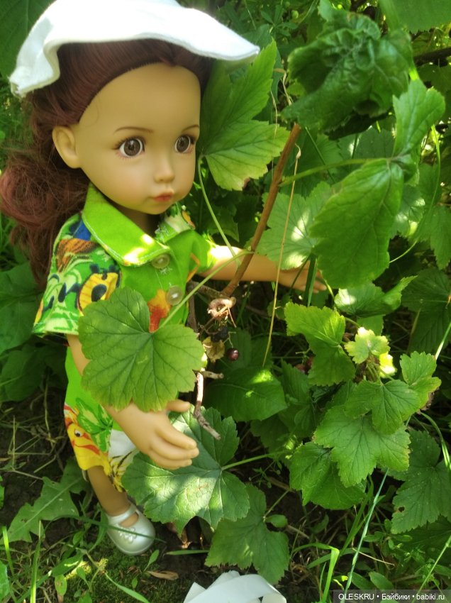 Лето на даче поспели ягодки, пошла по ягодки (фото 5)