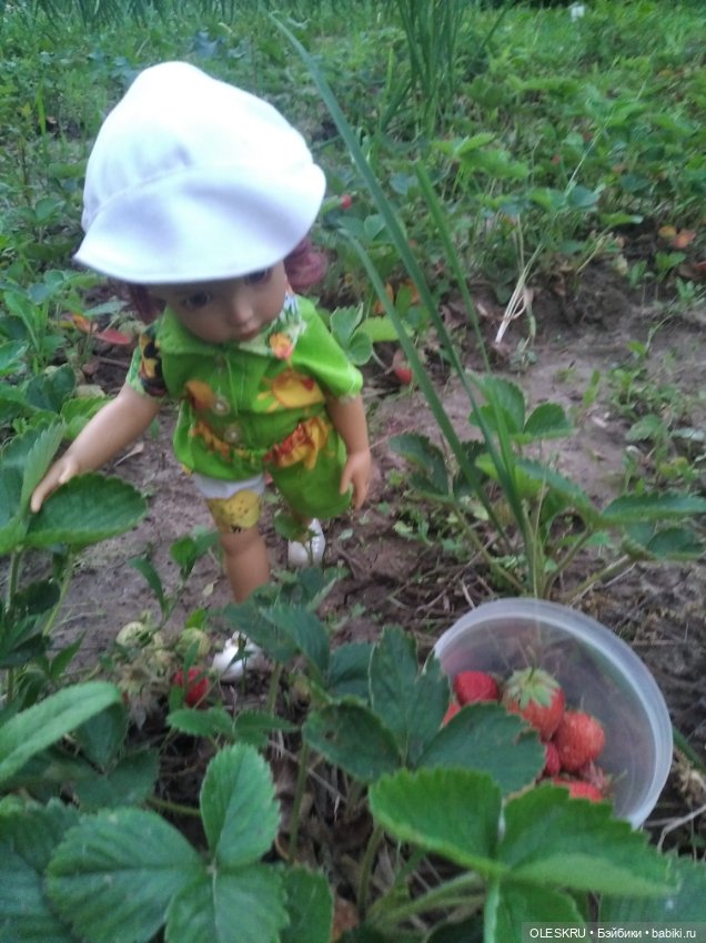 Лето на даче поспели ягодки, пошла по ягодки (фото 3)