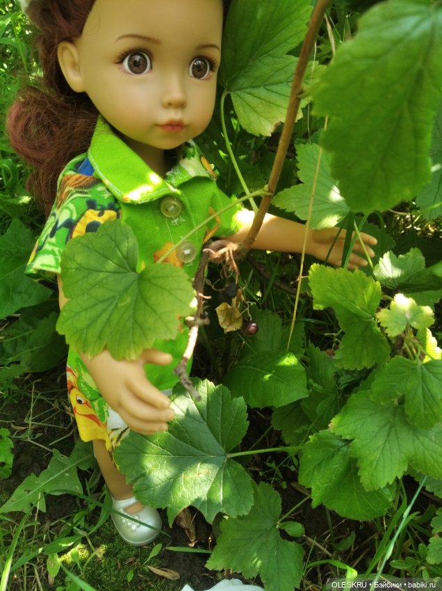 Лето на даче поспели ягодки, пошла по ягодки (фото 4)