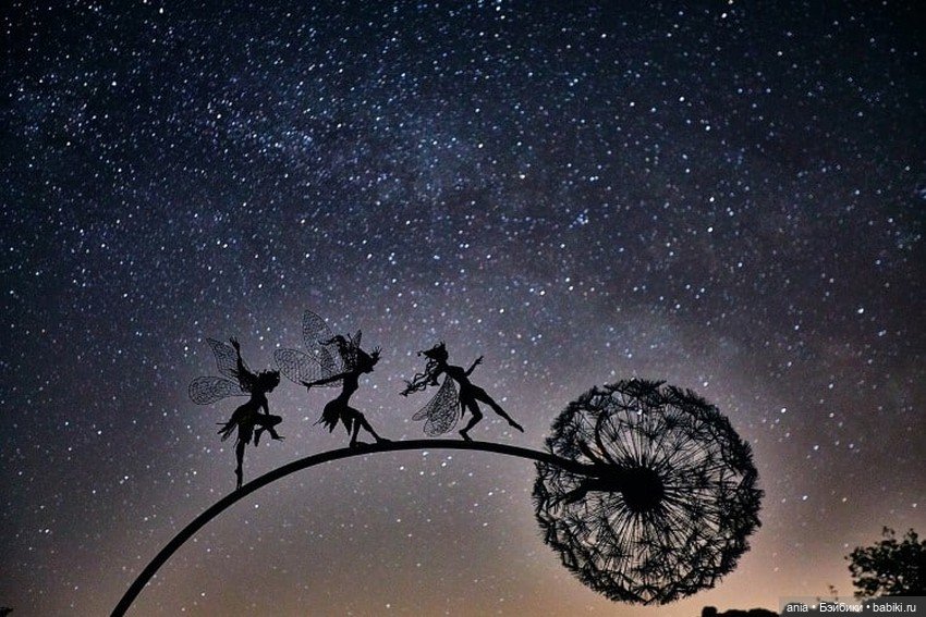 Работы из проволоки - автор Robin Wight (фото 3)