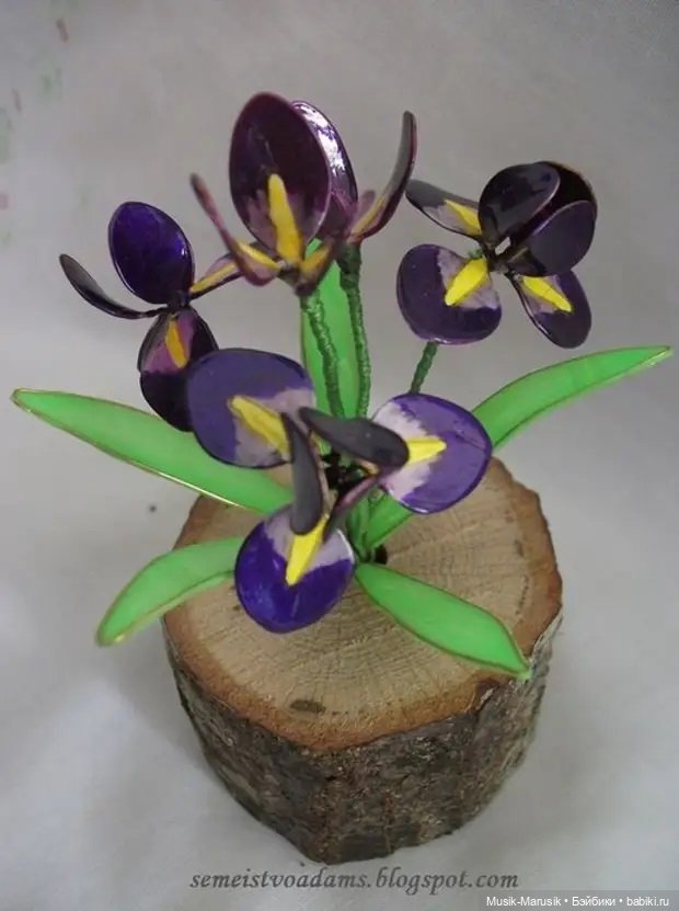 Лак и проволока — Другие хобби и увлечения: сад