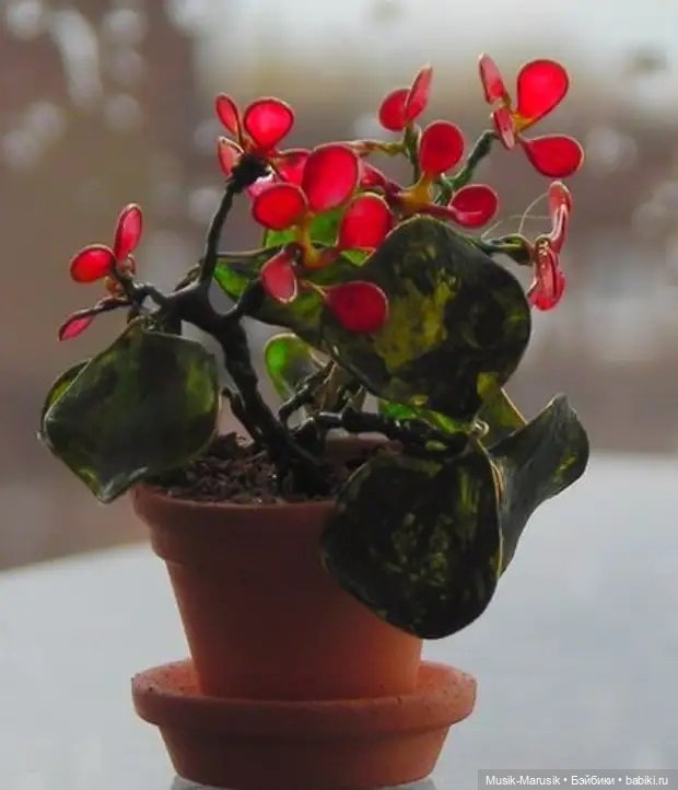 Лак и проволока — Другие хобби и увлечения: сад (фото 7)