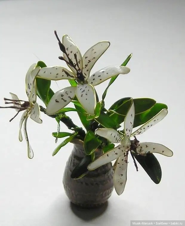 Лак и проволока — Другие хобби и увлечения: сад