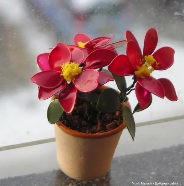 Лак и проволока — Другие хобби и увлечения: сад (фото 4)